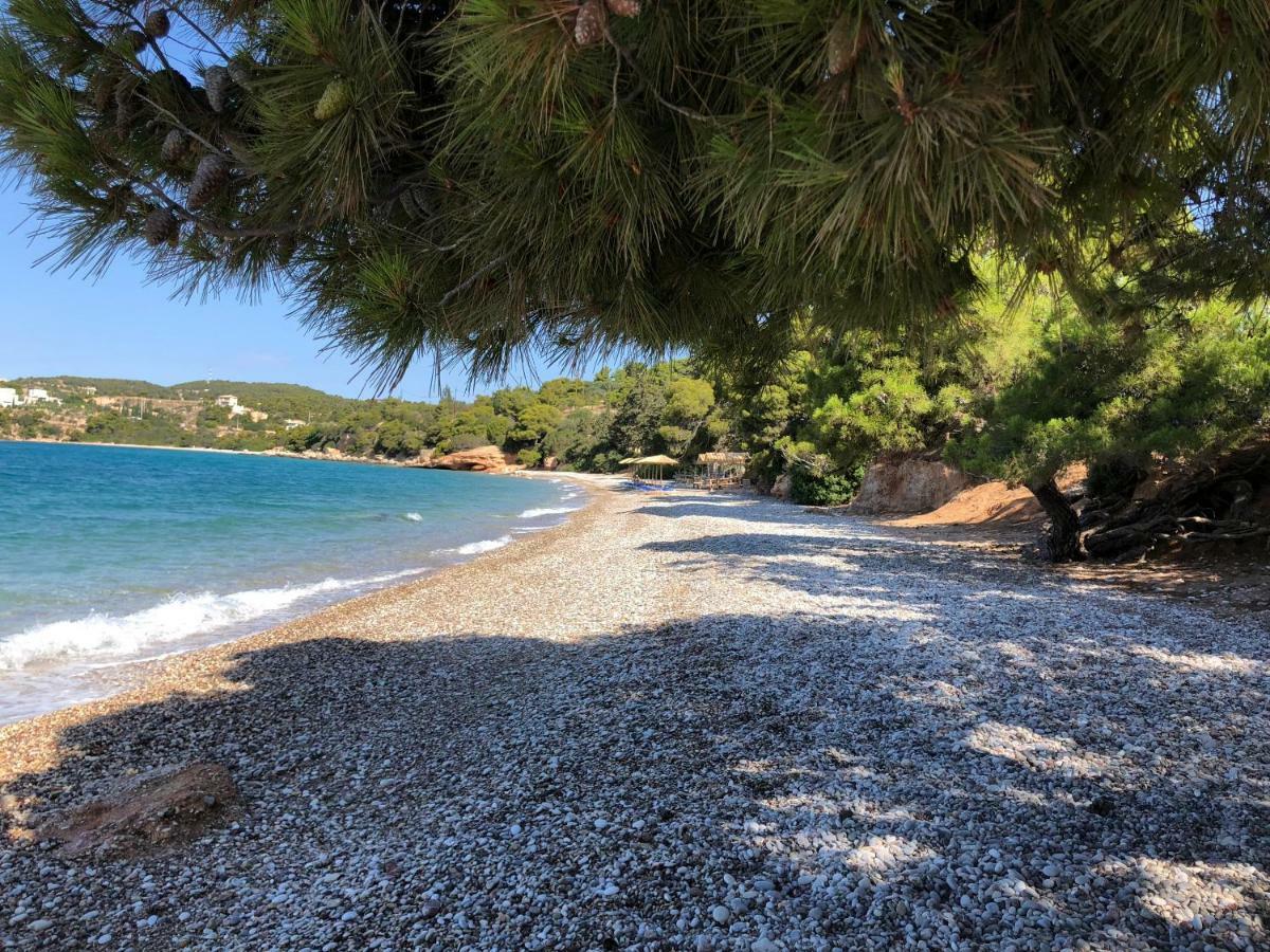Villa Marina Porto Heli Exteriör bild