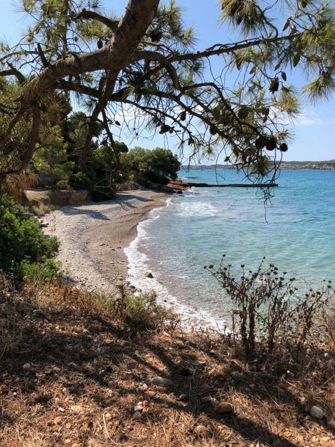 Villa Marina Porto Heli Exteriör bild